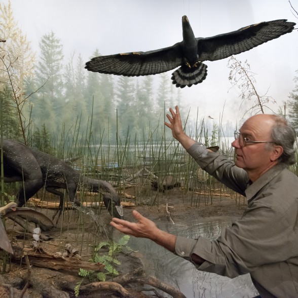 Science in Society Speaker Series returns to ask the big questions about adapting to climate change | iNFOnews.ca
