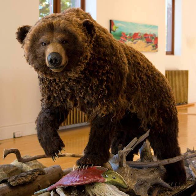 This Salmon Arm artist's project took her to the Jim Henson studios | iNFOnews.ca