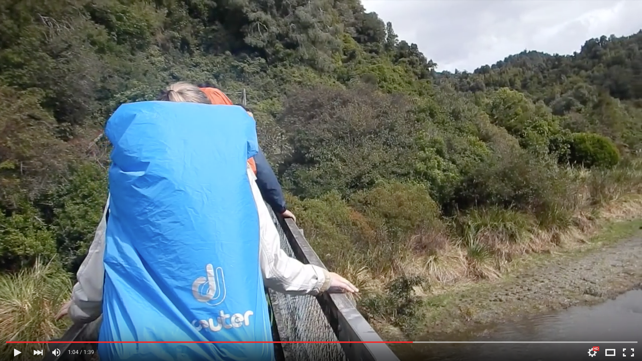 TRENDING NOW: Hikers fall when suspension bridge collapses | iNFOnews.ca