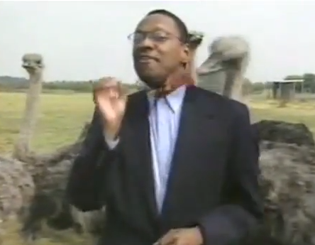 Reporters and animals bloopers | iNFOnews.ca Reporters and animals bloopers | iNFOnews.ca