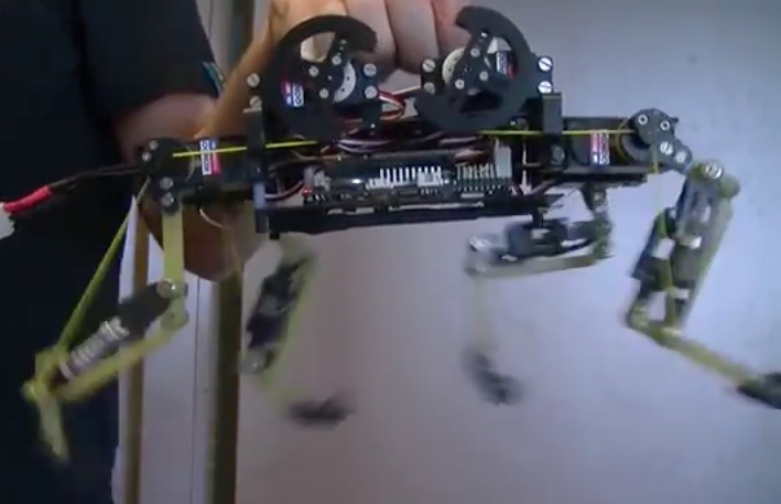 Robot cat | iNFOnews.ca