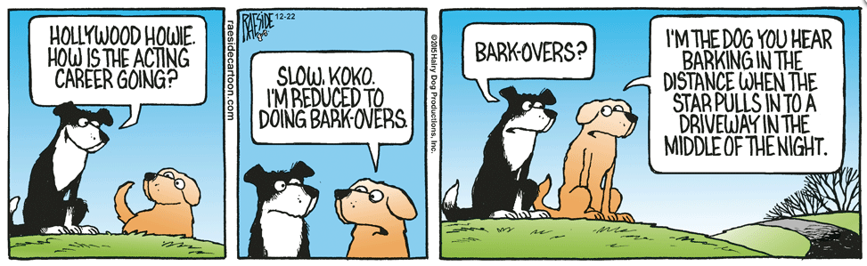 RAESIDE CARTOON | iNFOnews.ca