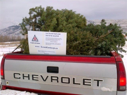 Kamloops Scouts annual Christmas tree pickup | iNFOnews.ca Kamloops Scouts annual Christmas tree pickup | iNFOnews.ca