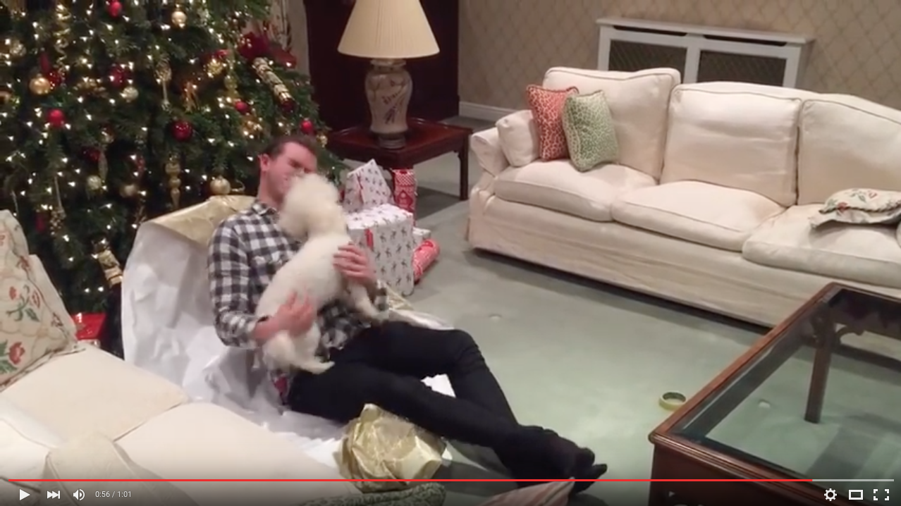 TRENDING NOW: Dog unwraps owner for Christmas | iNFOnews.ca