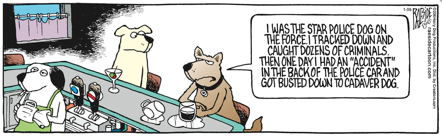 RAESIDE CARTOON | iNFOnews.ca