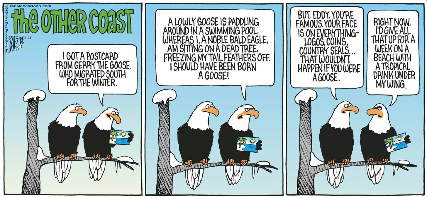 RAESIDE CARTOON | iNFOnews.ca