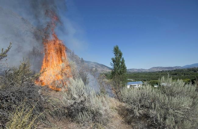Firefighting funds depleted: Record number of wildfires in national parks | iNFOnews.ca