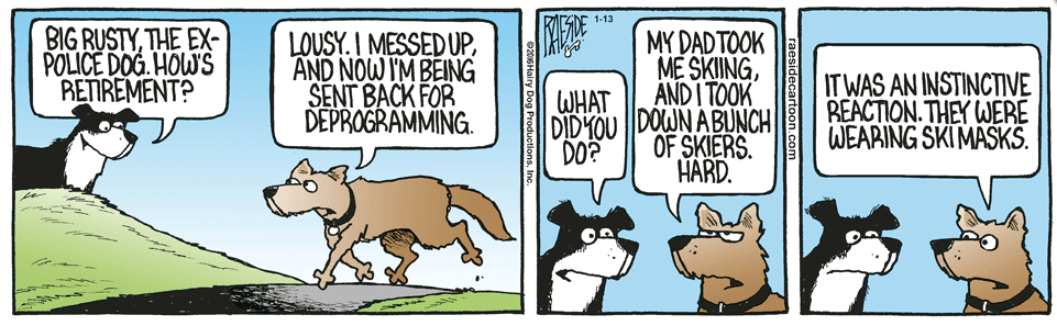 RAESIDE CARTOON | iNFOnews.ca