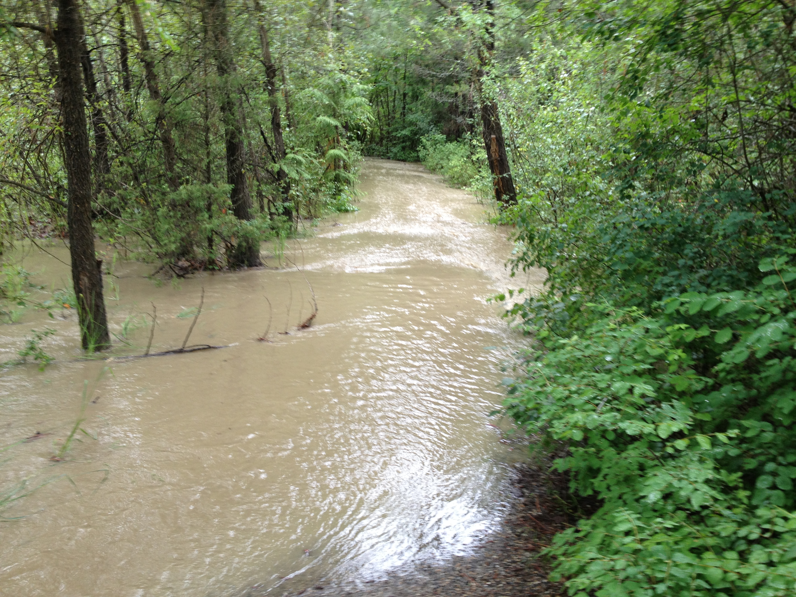 Local creeks may still rise, city of Kelowna recommends caution | iNFOnews.ca