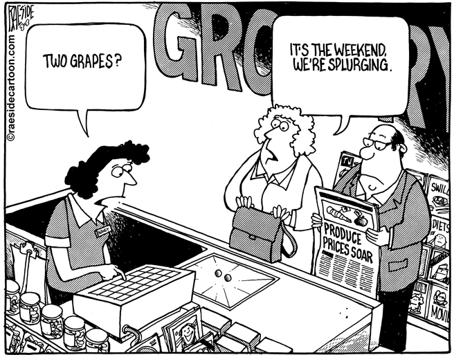 RAESIDE CARTOON | iNFOnews.ca