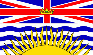 Woman killed by falling tree | iNFOnews.ca