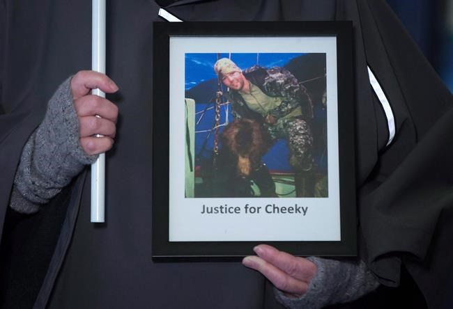 NHL's Clayton Stoner admits to hunting without a licence in B.C. grizzly hunt | iNFOnews.ca NHL's Clayton Stoner admits to hunting without a licence in B.C. grizzly hunt | iNFOnews.ca