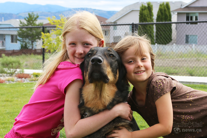 Youth large part of SPCA donor base | iNFOnews.ca