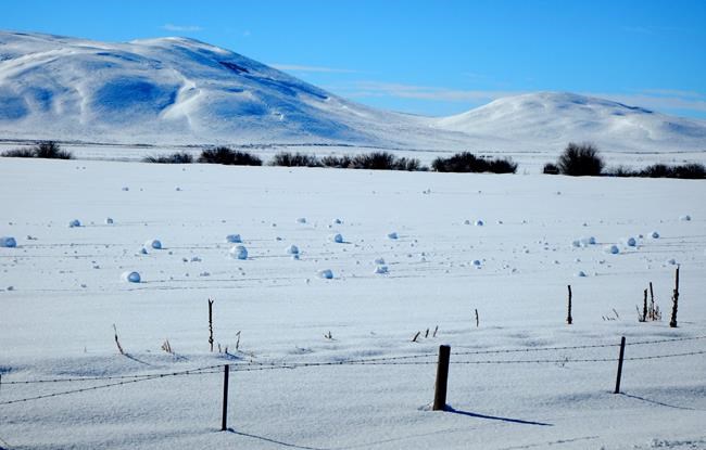 Rare weather event produces spontaneous snowballs in Idaho | iNFOnews.ca