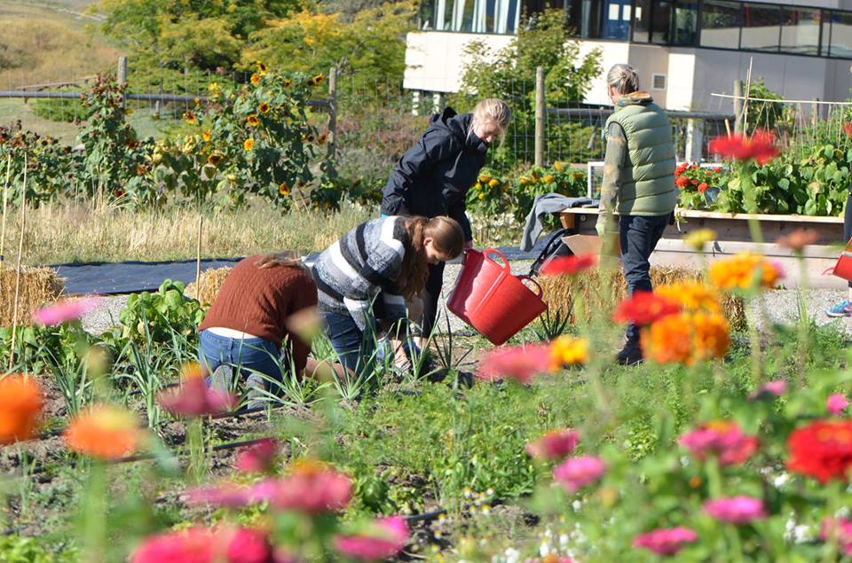Patchwork Farms harvests a successful year | iNFOnews.ca