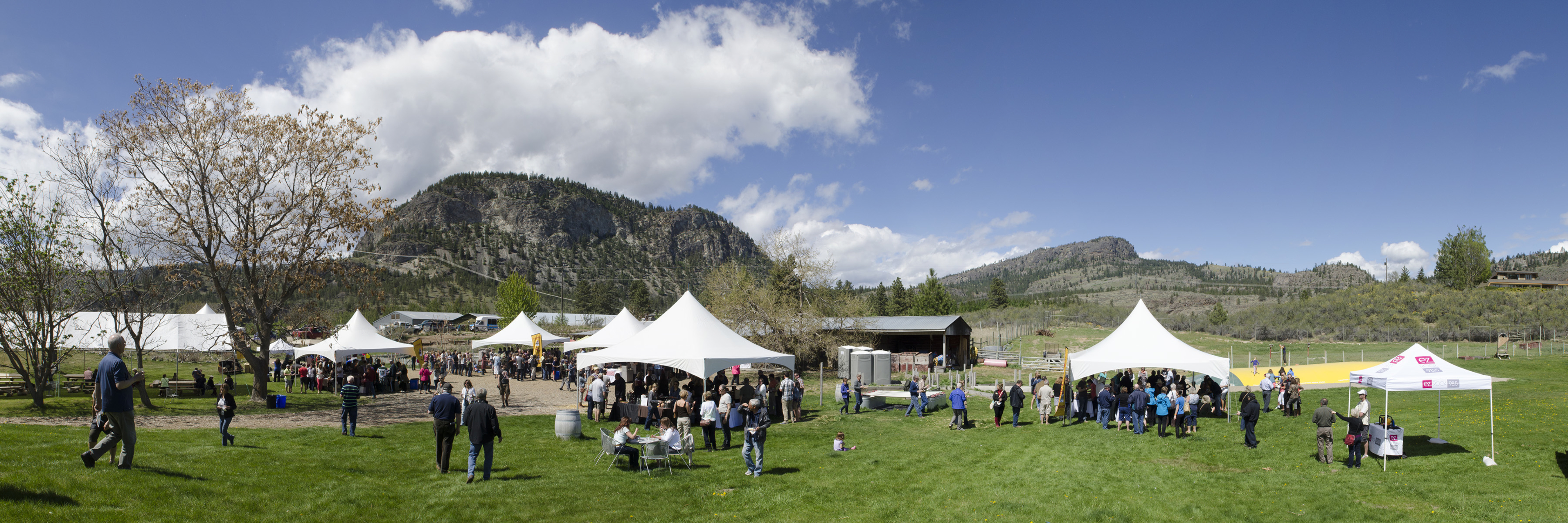 Popular Pig Out festival signals that summer isn't far away | iNFOnews.ca
