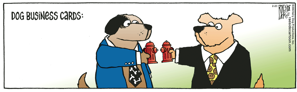 RAESIDE CARTOON | iNFOnews.ca