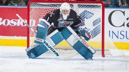 Kelowna Rockets netminder Whistle out for season | iNFOnews.ca Kelowna Rockets netminder Whistle out for season | iNFOnews.ca