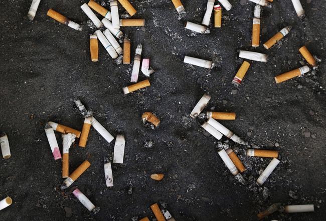 No buts about it: B.C. study says tobacco companies must deal with waste butts | iNFOnews.ca No buts about it: B.C. study says tobacco companies must deal with waste butts | iNFOnews.ca