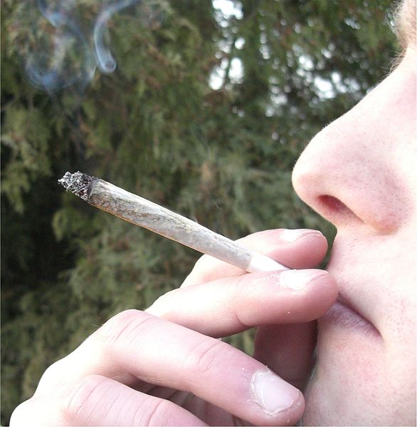 Medicinal marijuana hearing 'a joke:' activist | iNFOnews.ca