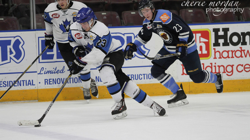 BCHL Playoffs: Penticton Vees down Vernon Vipers in game four | iNFOnews.ca
