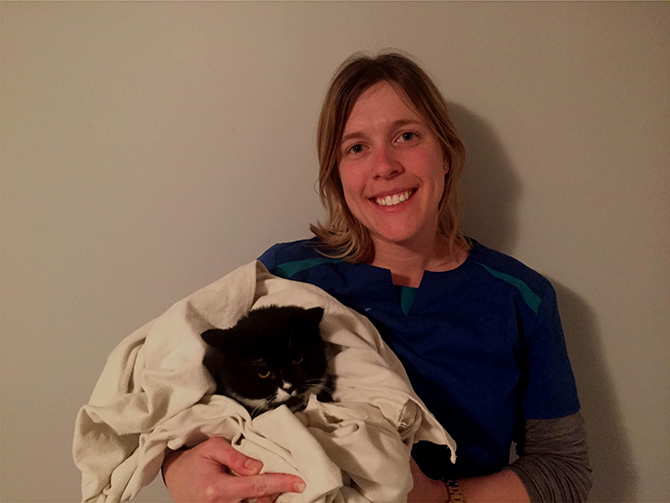 Cookie campaign aids kitty cats | iNFOnews.ca