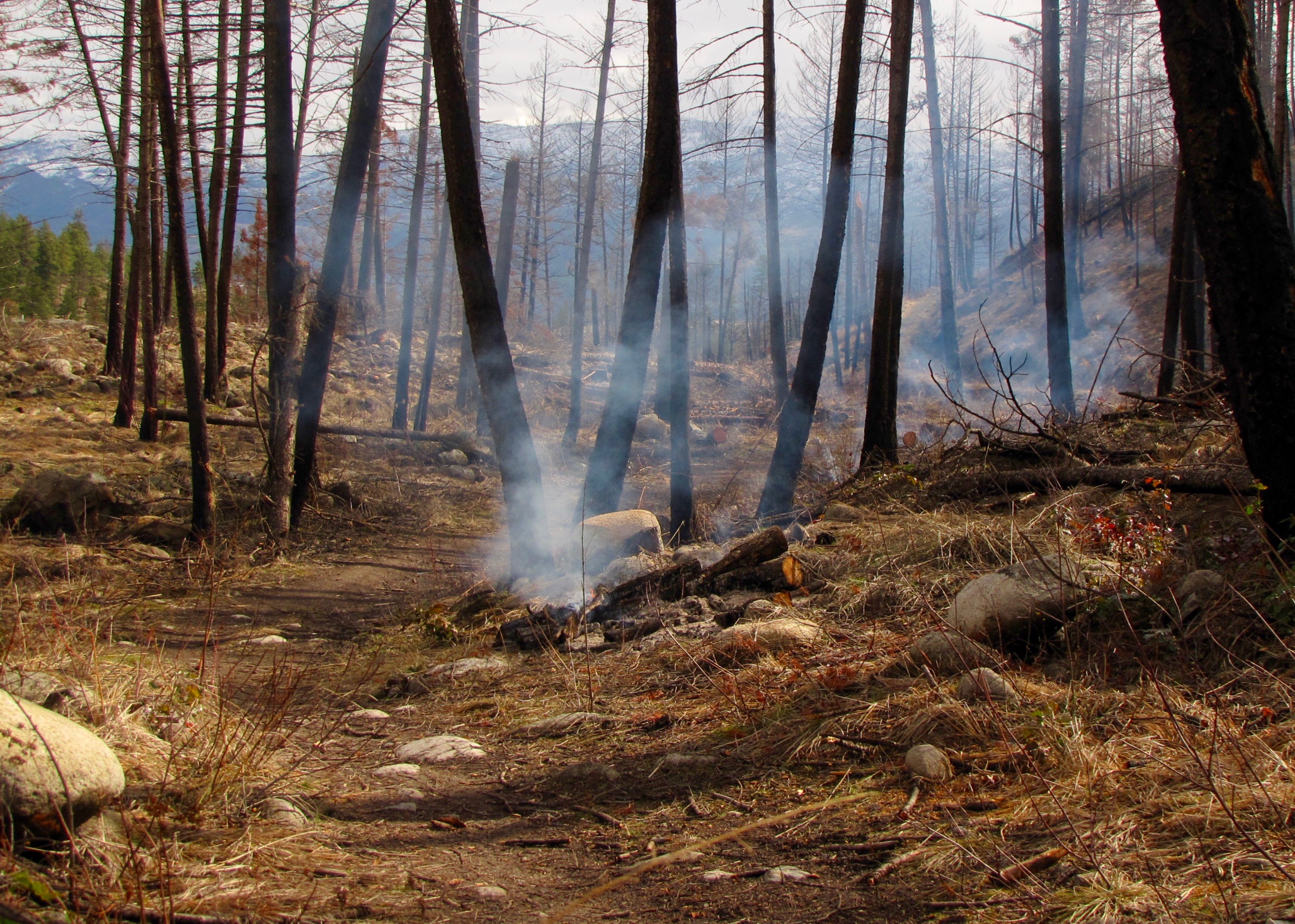 Fire hazard debris burning today in Central Okanagan | iNFOnews.ca