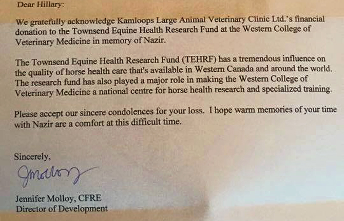 When dealing with loss of a pet, this Kamloops vet clinic steps up to ease the pain | iNFOnews.ca