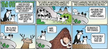 RAESIDE CARTOON | iNFOnews.ca