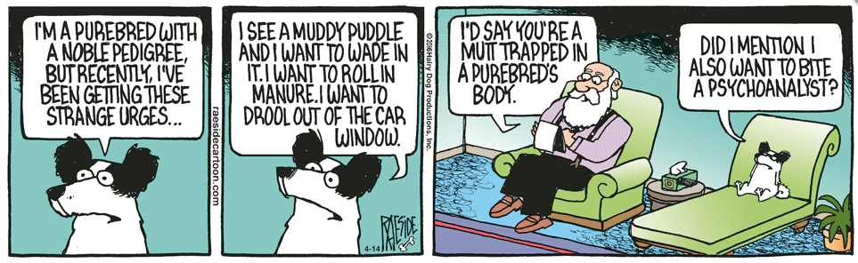 RAESIDE CARTOON | iNFOnews.ca