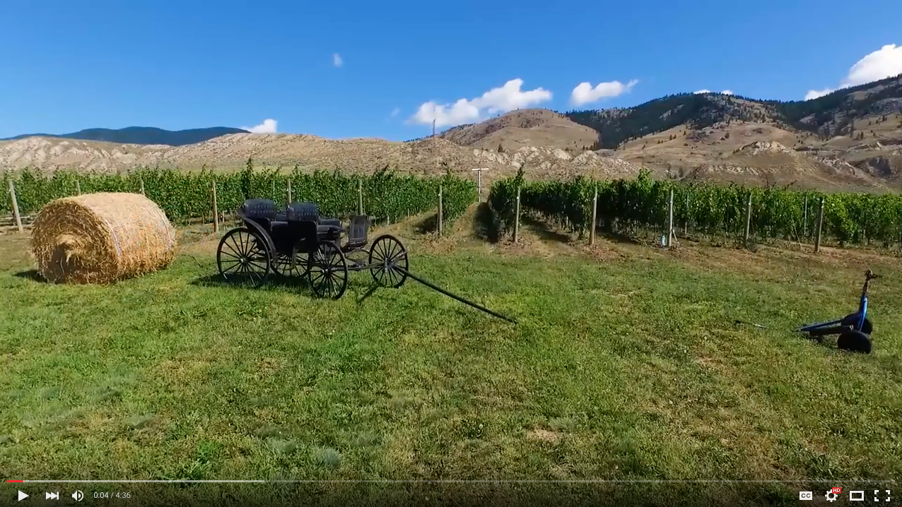 Local agriculture in Kamloops video | iNFOnews.ca