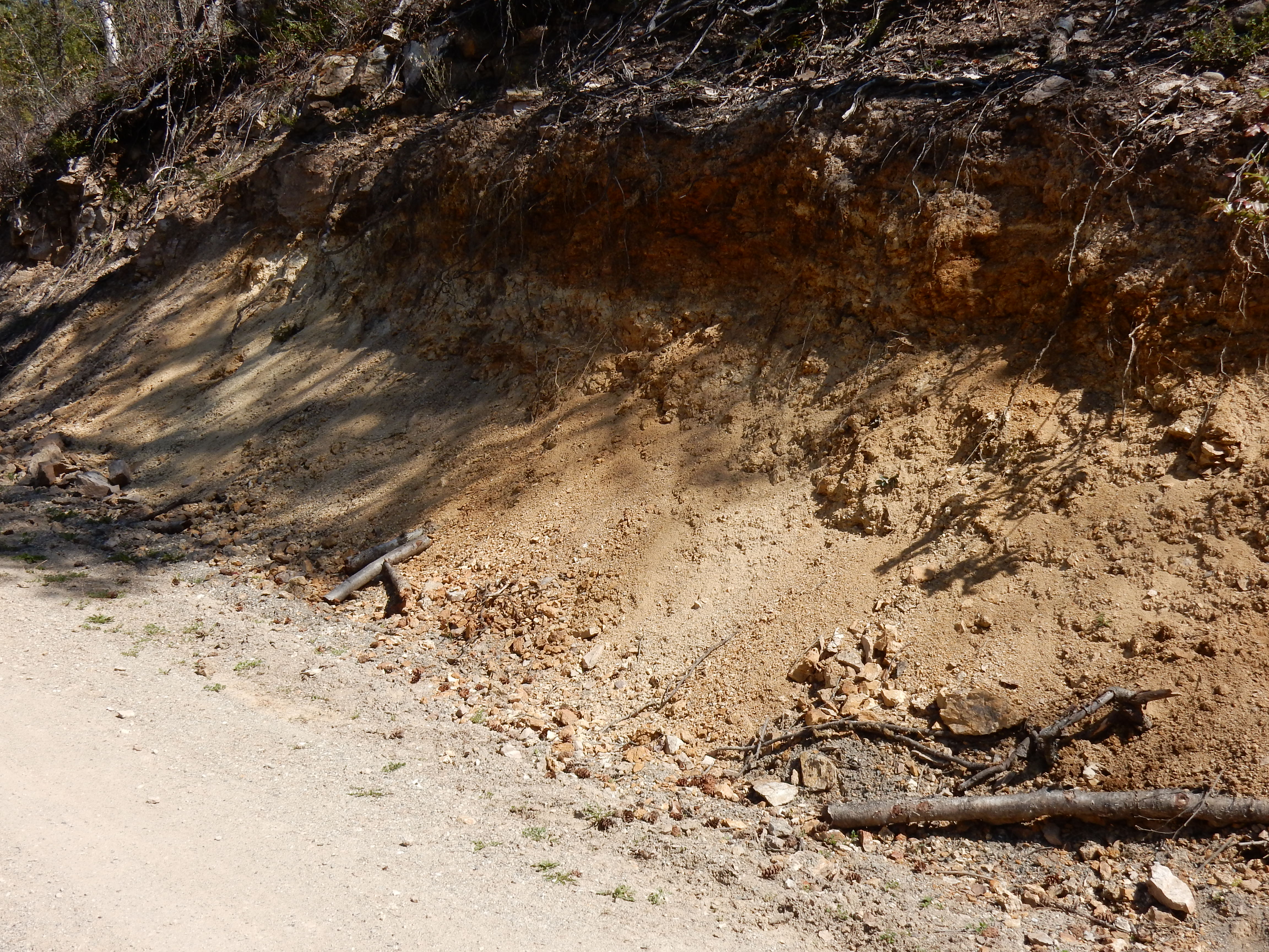 Visiting Irish artist says Vernon roadsides are ‘clay heaven’ | iNFOnews.ca