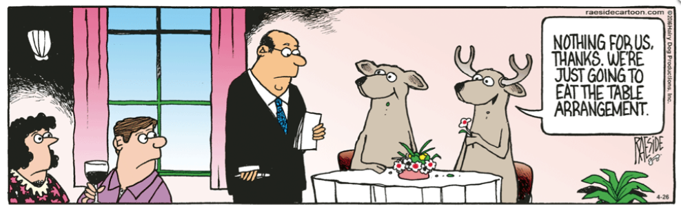 RAESIDE CARTOON | iNFOnews.ca