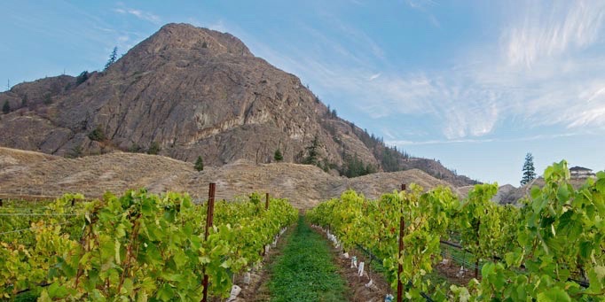 Kamloops wineries bring home more medals | iNFOnews.ca