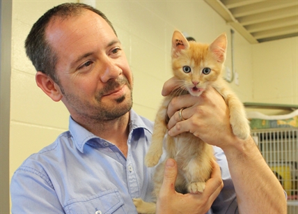 Heatstroke, death possible results of leaving animals in cars | iNFOnews.ca