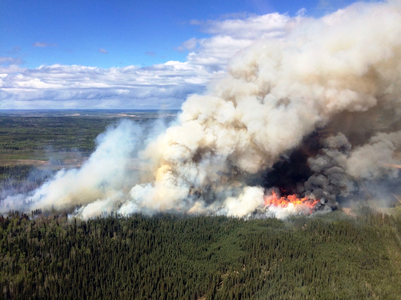 B.C. crews chase wildfire as it crosses border into disaster-stricken Alberta | iNFOnews.ca