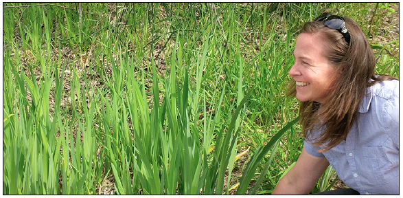 TNRD bio-control program has new partner | iNFOnews.ca