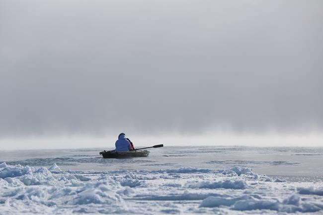 Documentary 'Angry Inuk' at Hot Docs fest shows role of Inuit in seal hunt | iNFOnews.ca