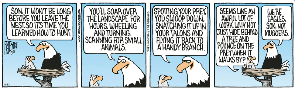 RAESIDE CARTOON | iNFOnews.ca