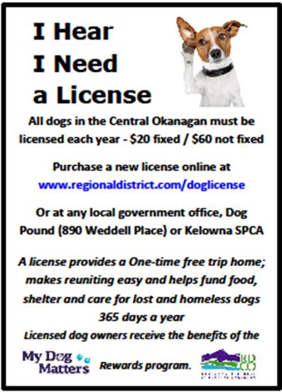 I hear I need a license – help return dogs to their owners | iNFOnews.ca I hear I need a license – help return dogs to their owners | iNFOnews.ca