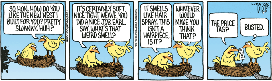 RAESIDE CARTOON | iNFOnews.ca