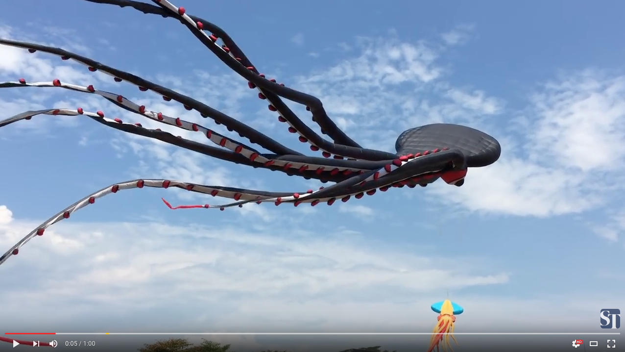TRENDING NOW: Amazing giant octopus kite | iNFOnews.ca