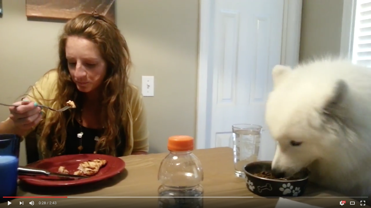 TRENDING NOW: Dog politely eats at dinner table | iNFOnews.ca