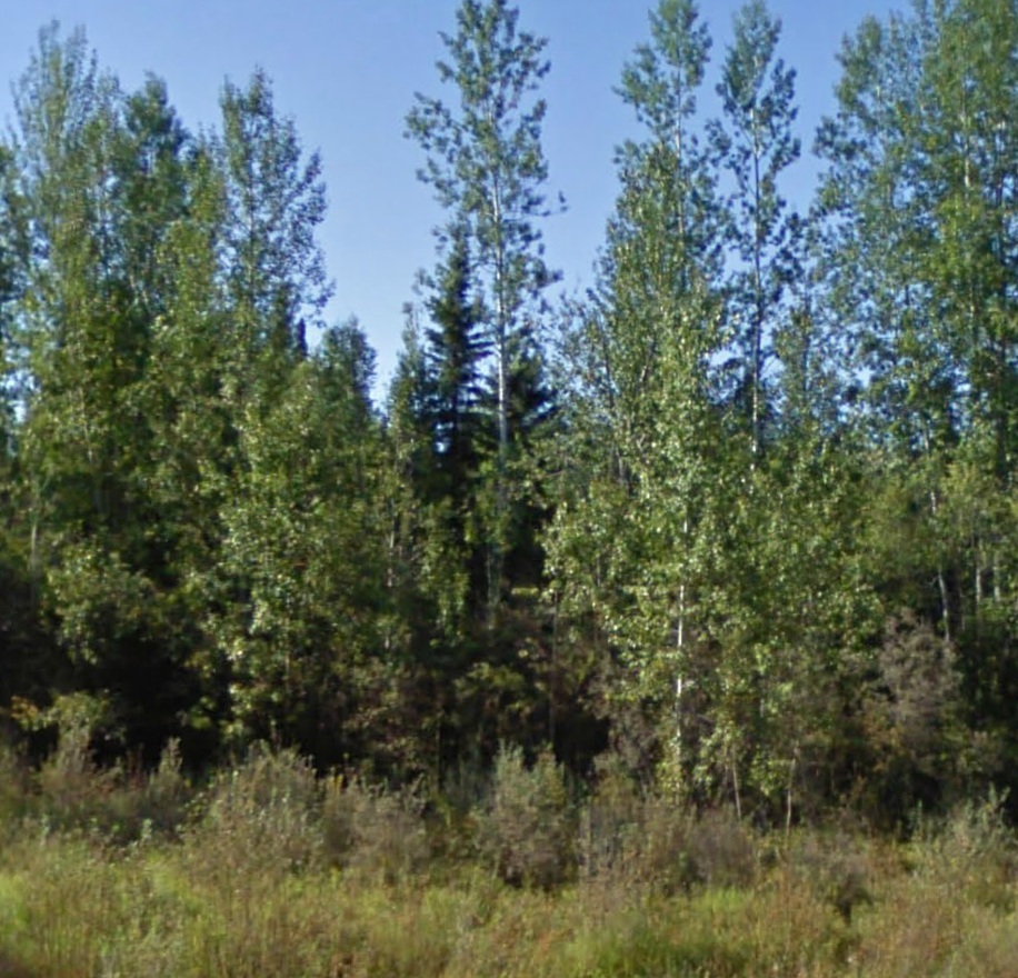 Missing mushroom picker from Chase found dead | iNFOnews.ca Missing mushroom picker from Chase found dead | iNFOnews.ca