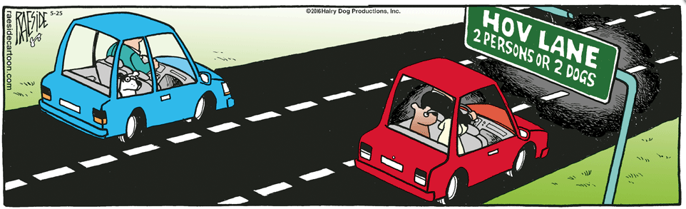 RAESIDE CARTOON | iNFOnews.ca