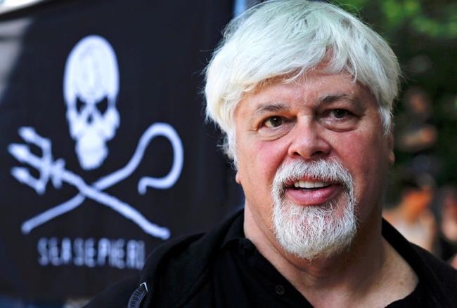 Sea Shepard founder Paul Watson rams whalers for a living | iNFOnews.ca Sea Shepard founder Paul Watson rams whalers for a living | iNFOnews.ca