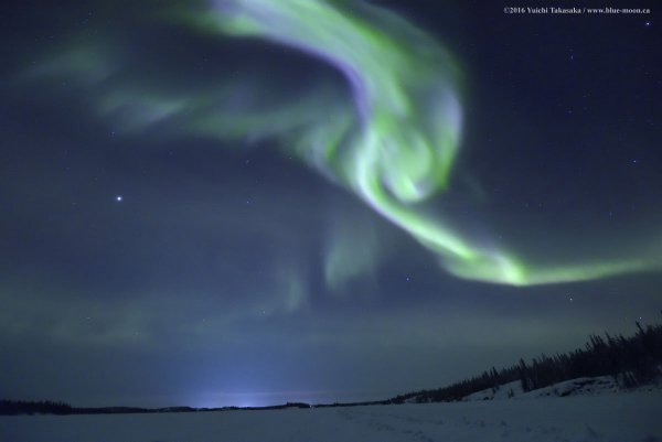 Lumby man chases the northern lights around the world | iNFOnews.ca Lumby man chases the northern lights around the world | iNFOnews.ca
