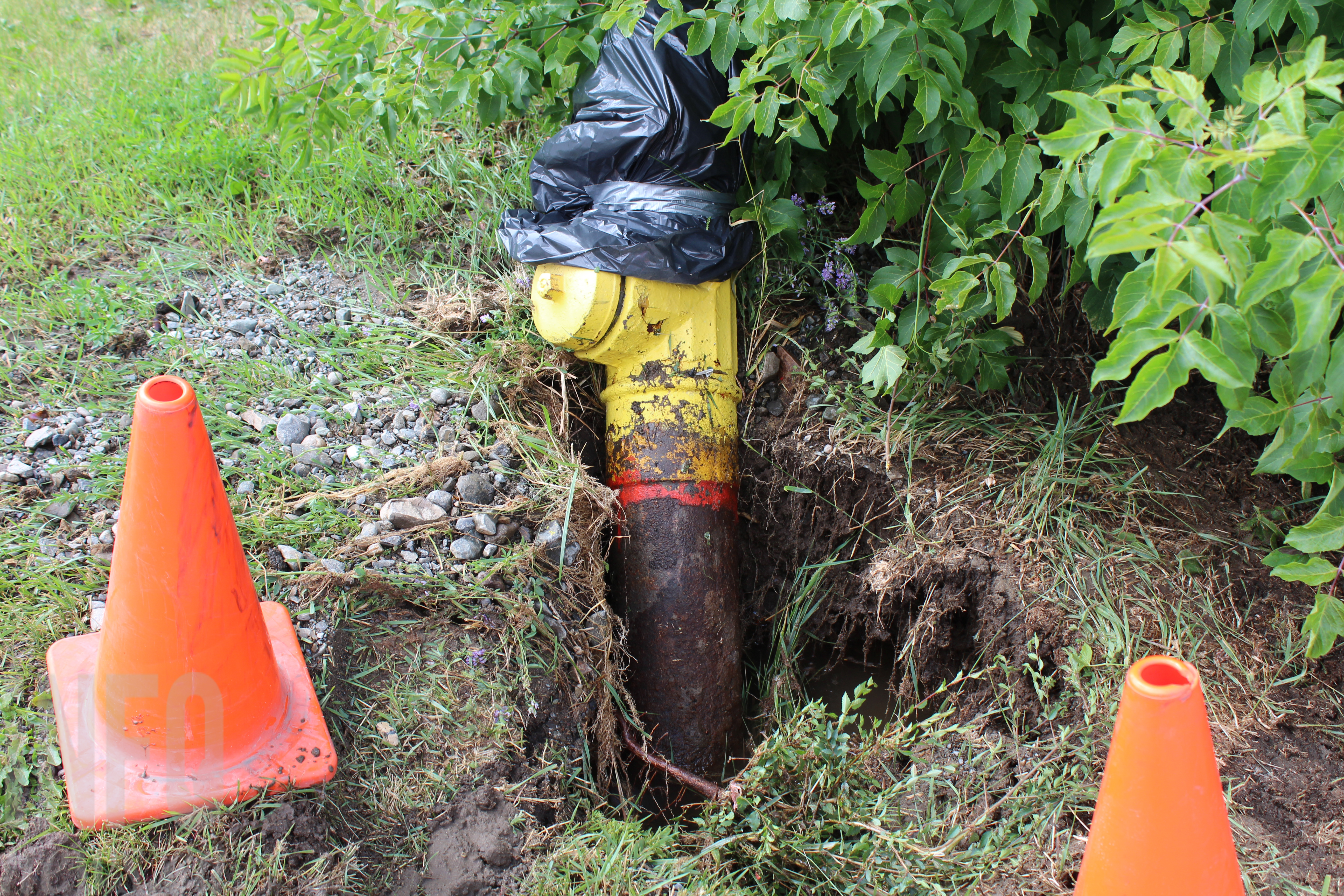 Car takes out hydrant in downtown Kamloops | iNFOnews.ca Car takes out hydrant in downtown Kamloops | iNFOnews.ca