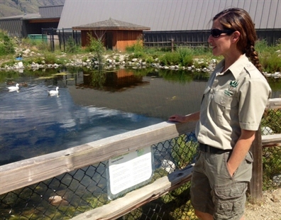 Flooding in Calgary Zoo a black swan event for B.C. Wildlife Park | iNFOnews.ca