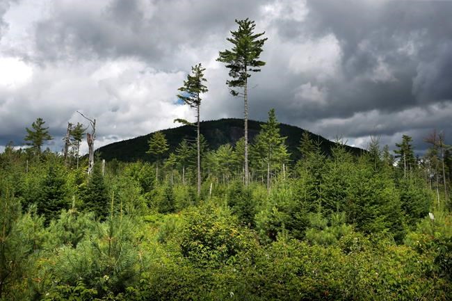 Suicide by job: Farmers, lumberjacks, fisherman top list | iNFOnews.ca Suicide by job: Farmers, lumberjacks, fisherman top list | iNFOnews.ca